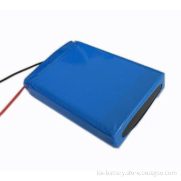 Lithium Ion Battery Pack for Mobile Power, Electric Tools, etc (accept Customization)